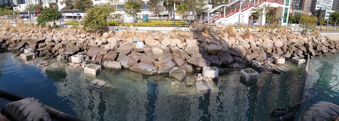 荃灣海濱長廊的「生態海堤」組件